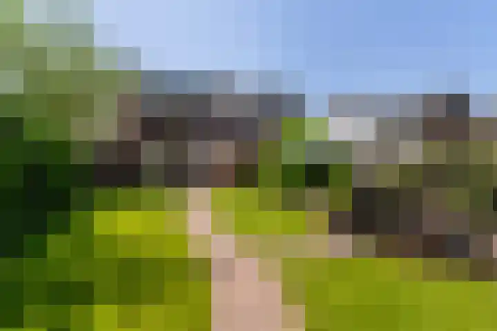 Skriesstrjitte 35 Stiens thumbnail 4