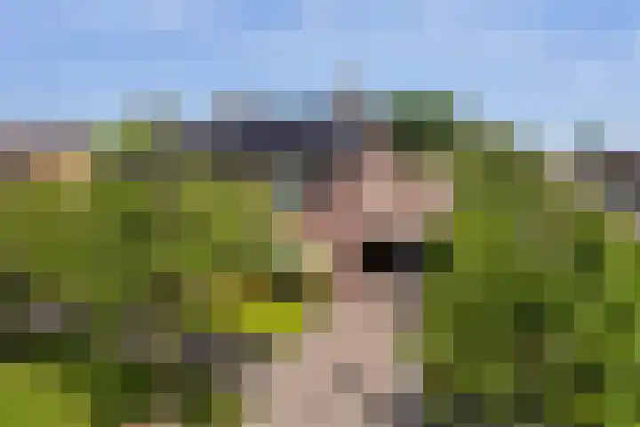 Skriesstrjitte 35 Stiens thumbnail 40
