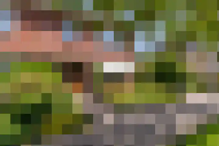 Skriesstrjitte 35 Stiens thumbnail 42