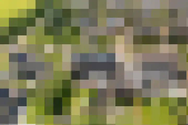 Skriesstrjitte 35 Stiens thumbnail 44