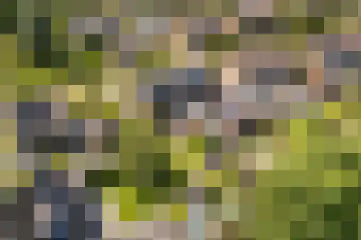 Skriesstrjitte 35 Stiens thumbnail 45