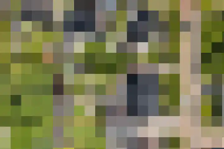 Skriesstrjitte 35 Stiens thumbnail 46