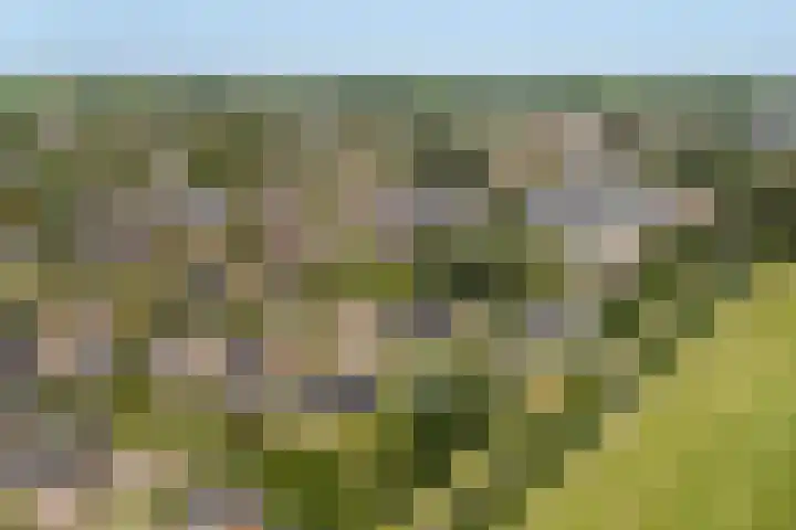 Skriesstrjitte 35 Stiens thumbnail 48
