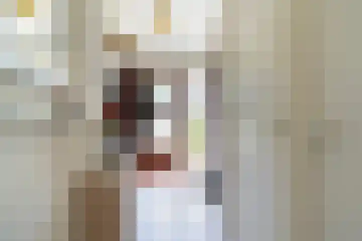 Skriesstrjitte 35 Stiens thumbnail 6