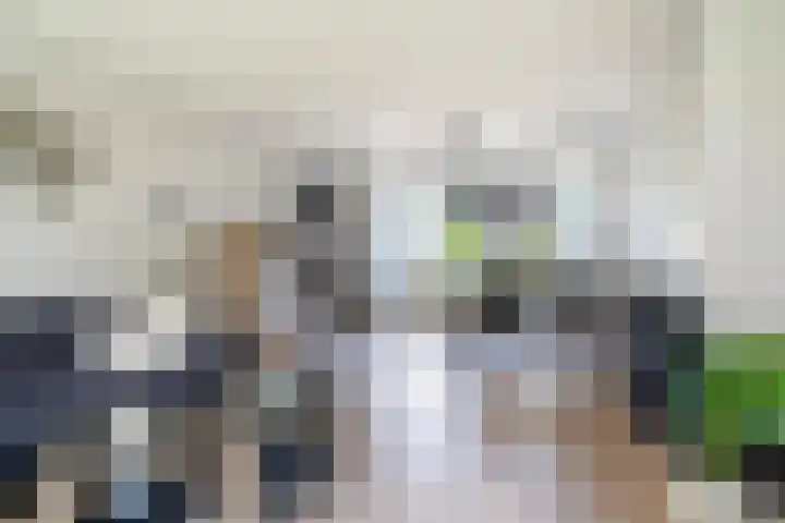 Skriesstrjitte 35 Stiens thumbnail 9