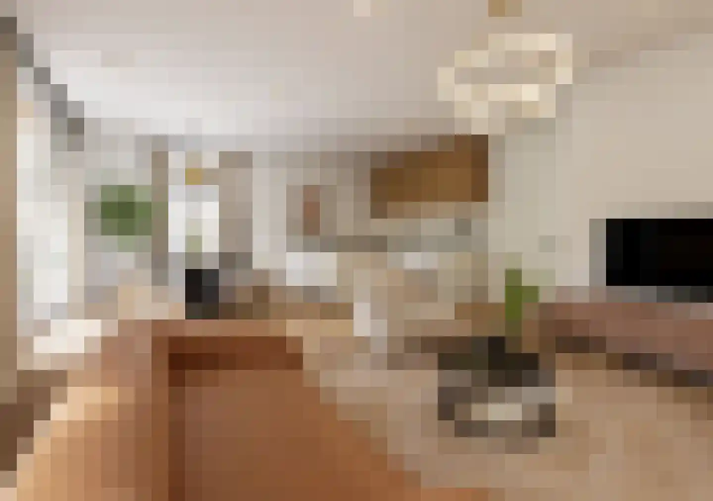 Skriesstrjitte 6 De Westereen thumbnail 4