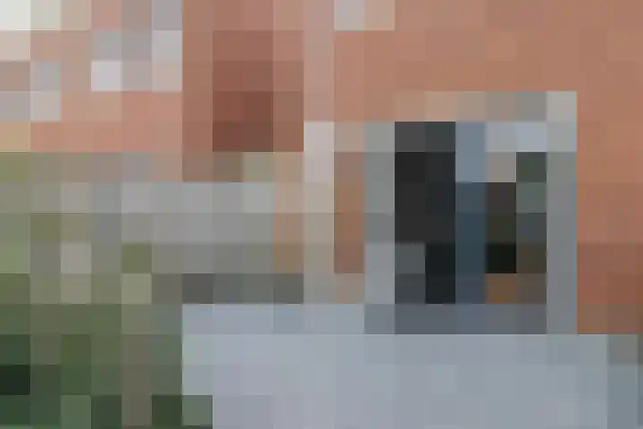 Skrok 1 c Leeuwarden thumbnail 42