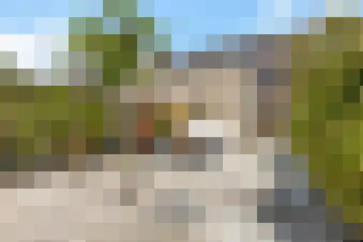 Skrok 25 Leeuwarden thumbnail 11