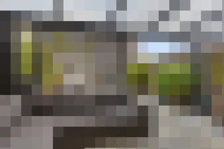 Skrok 25 Leeuwarden thumbnail 14