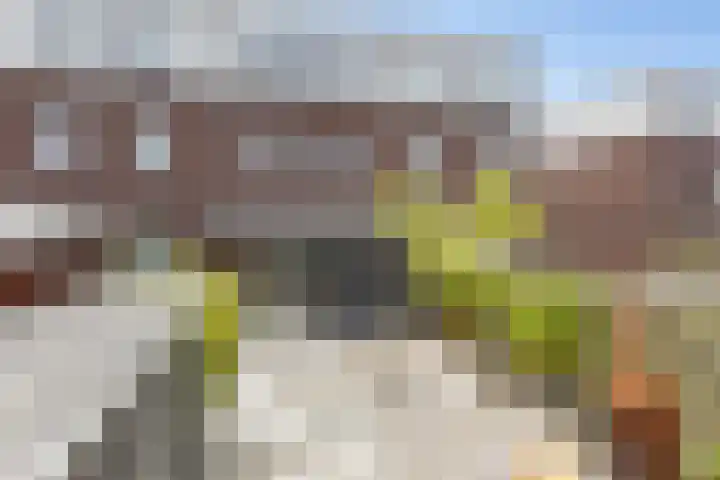 Skrok 25 Leeuwarden thumbnail 16