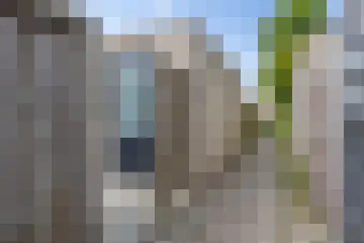 Skrok 25 Leeuwarden thumbnail 18
