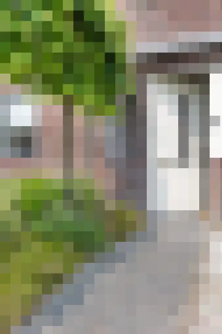 Skrok 25 Leeuwarden thumbnail 49