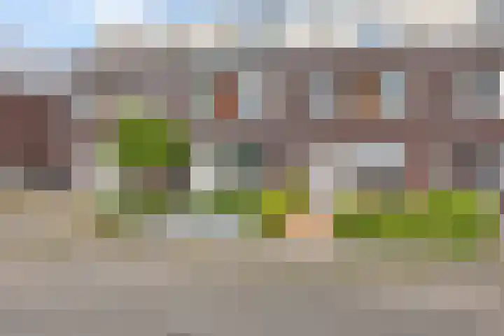 Skrok 25 Leeuwarden thumbnail 52