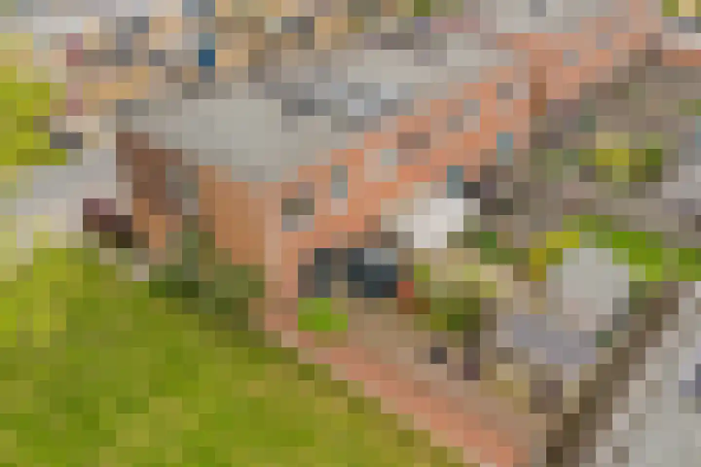 Skrok 3 c Leeuwarden thumbnail 31