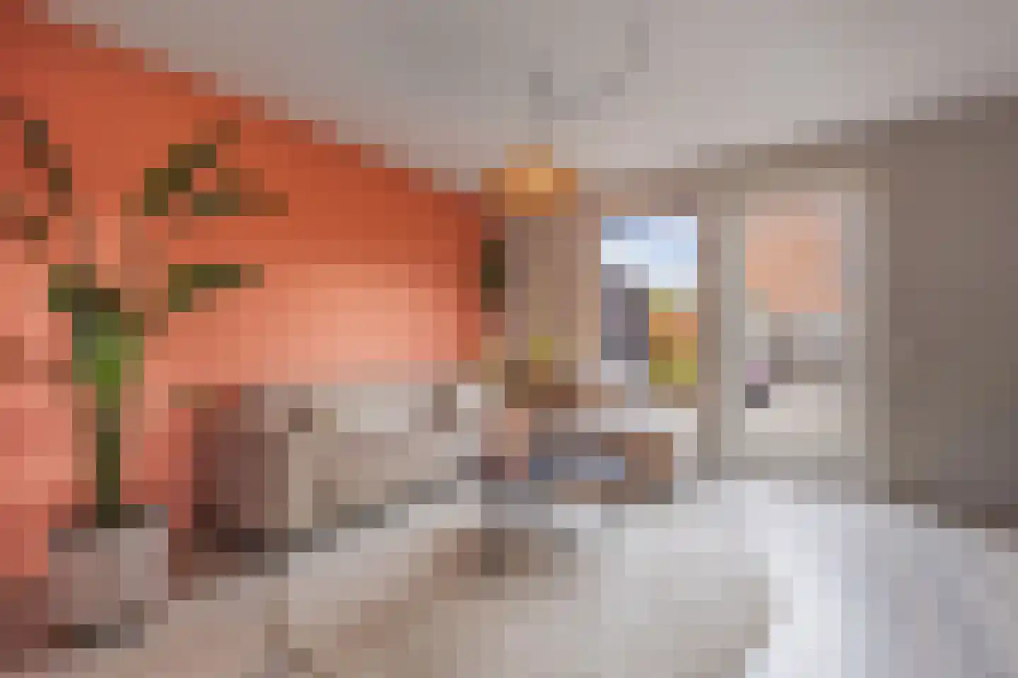 Skrok 3 c Leeuwarden thumbnail 4