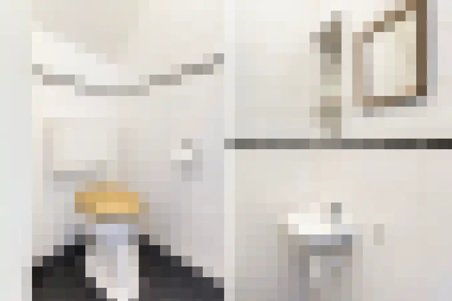Skûlestrjitte 33 Mitselwier thumbnail 12