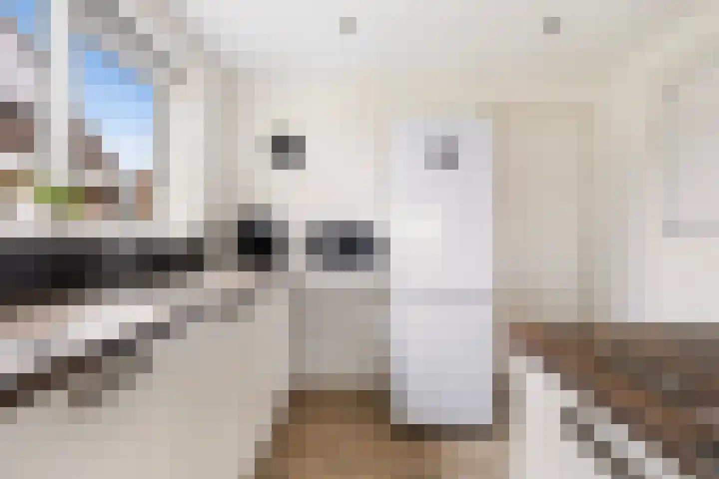 Skûlestrjitte 33 Mitselwier thumbnail 22