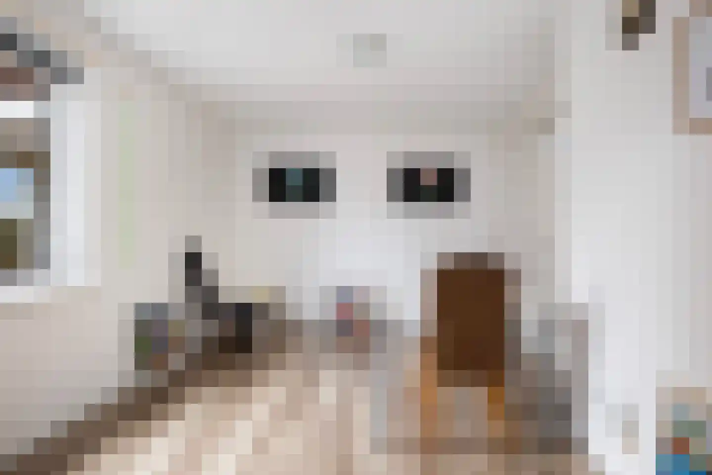 Skûlestrjitte 33 Mitselwier thumbnail 26