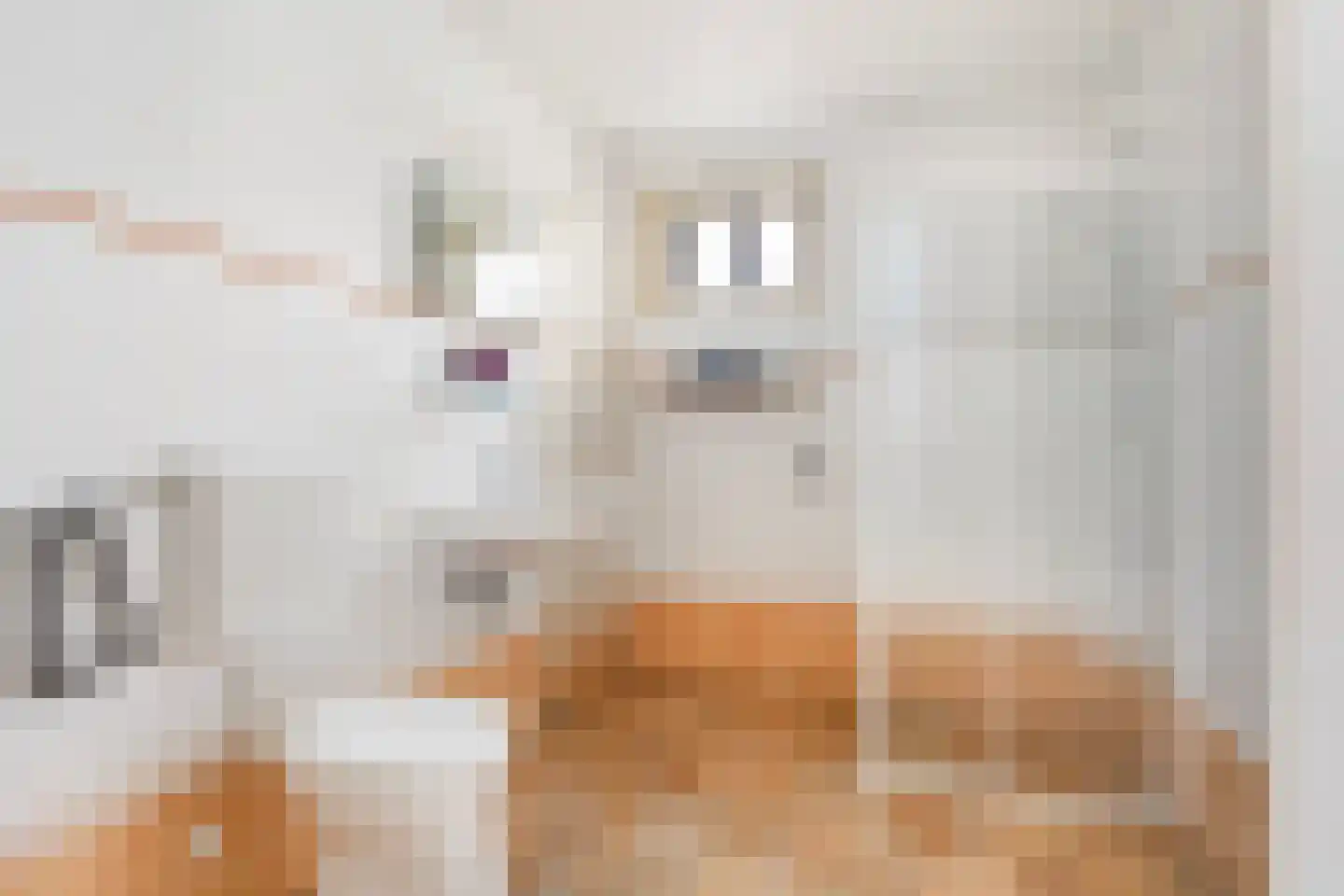 Skûlestrjitte 33 Mitselwier thumbnail 28