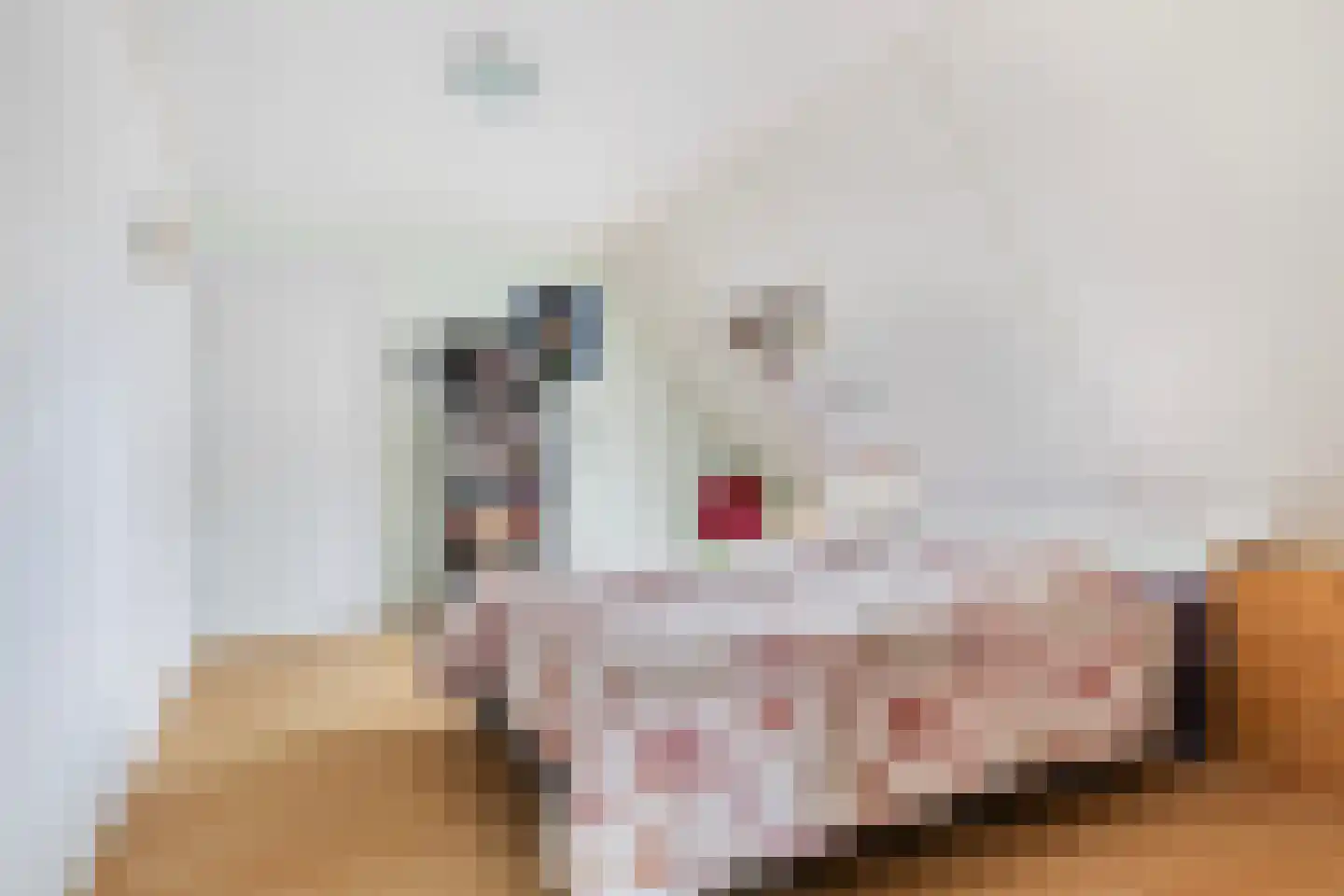 Skûlestrjitte 33 Mitselwier thumbnail 32
