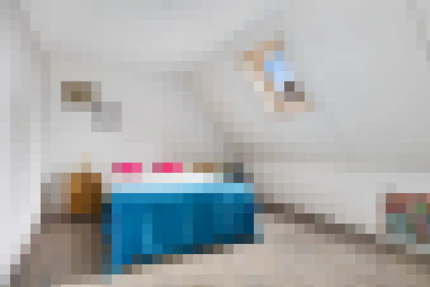 Skûlestrjitte 33 Mitselwier thumbnail 33