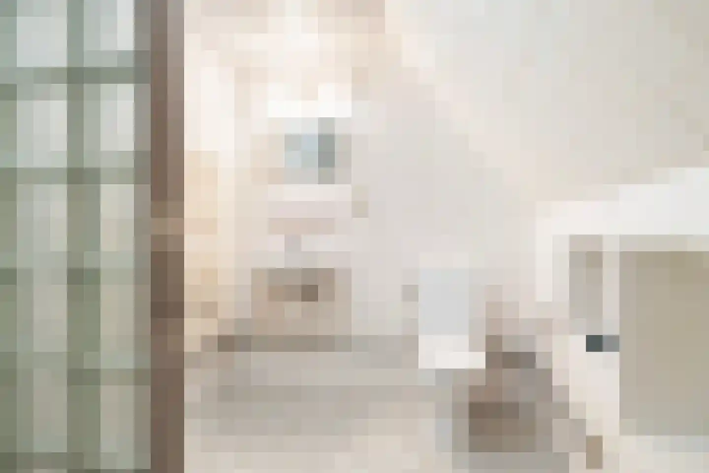Skûlestrjitte 33 Mitselwier thumbnail 35