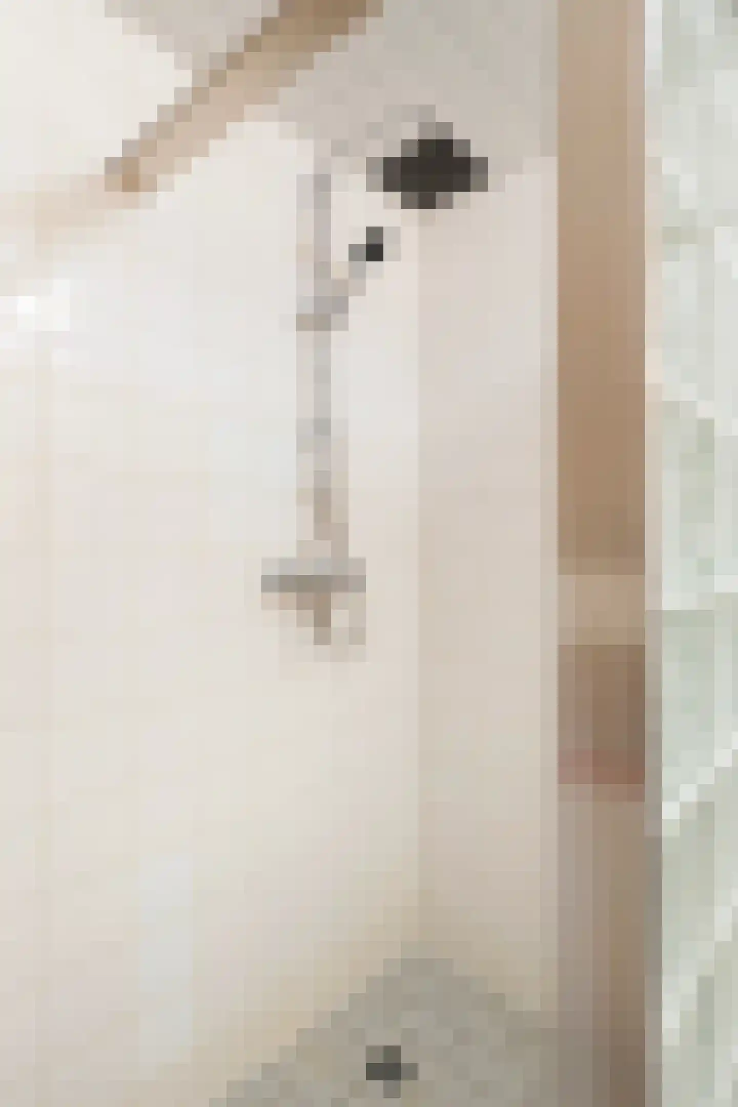 Skûlestrjitte 33 Mitselwier thumbnail 36