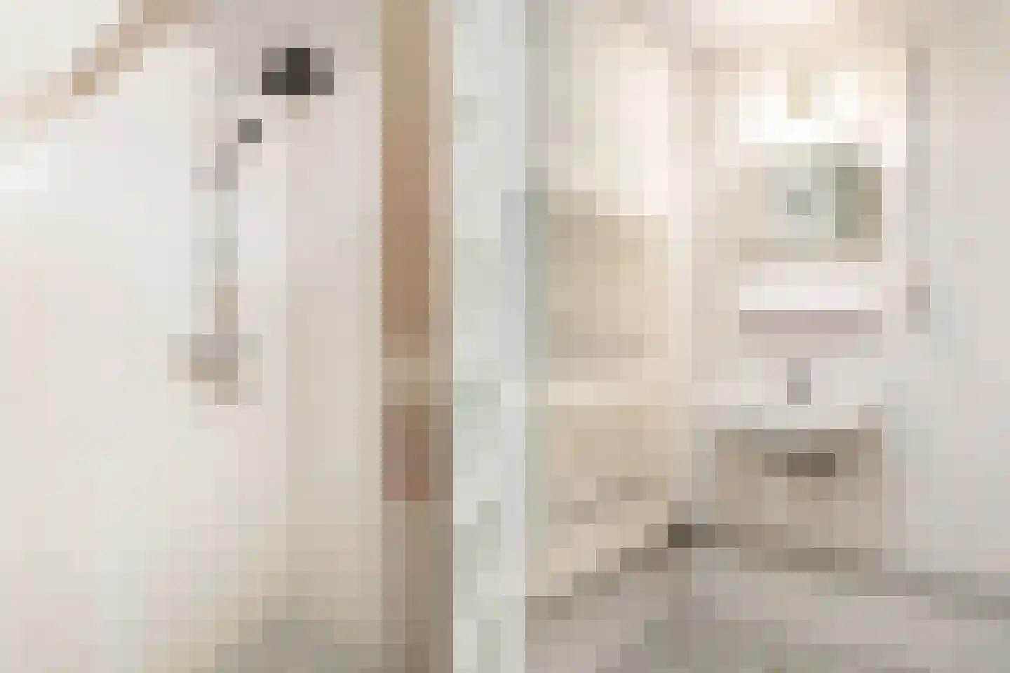 Skûlestrjitte 33 Mitselwier thumbnail 37