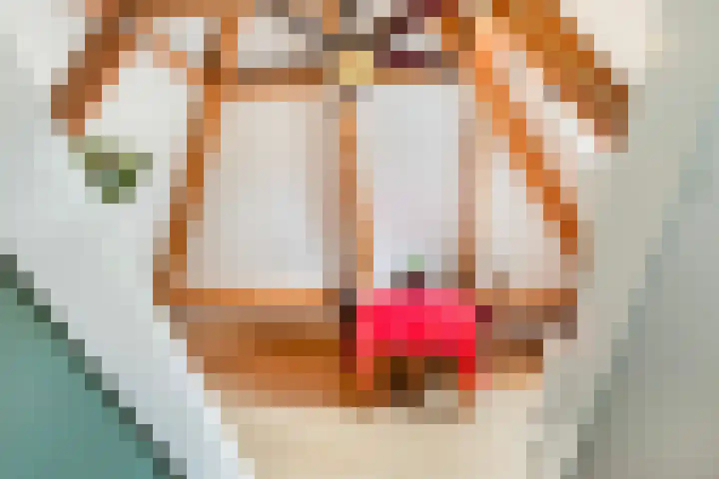 Skûlestrjitte 33 Mitselwier thumbnail 44