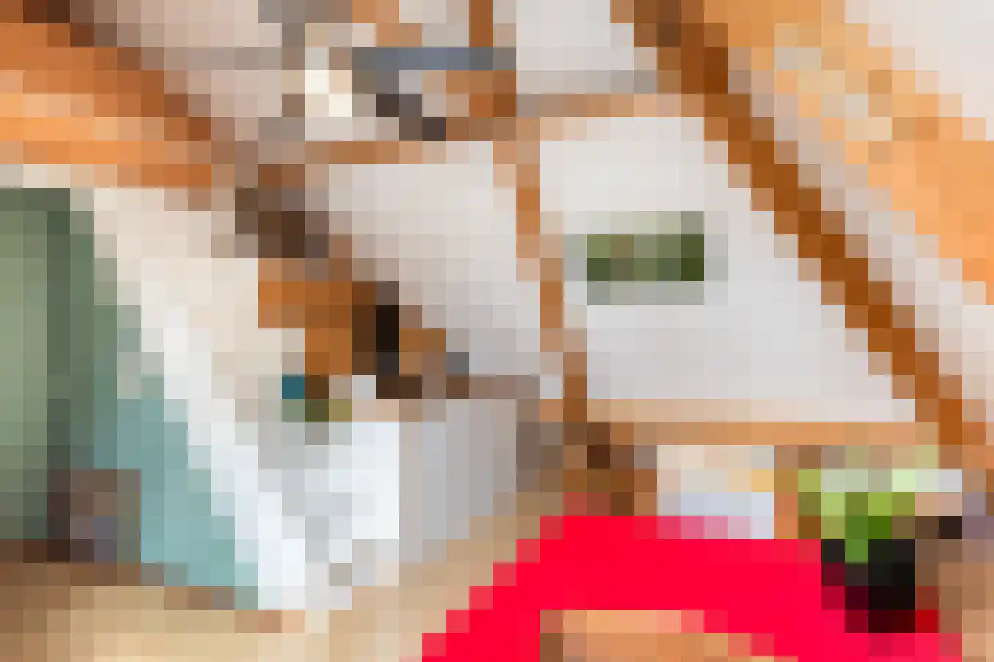 Skûlestrjitte 33 Mitselwier thumbnail 45