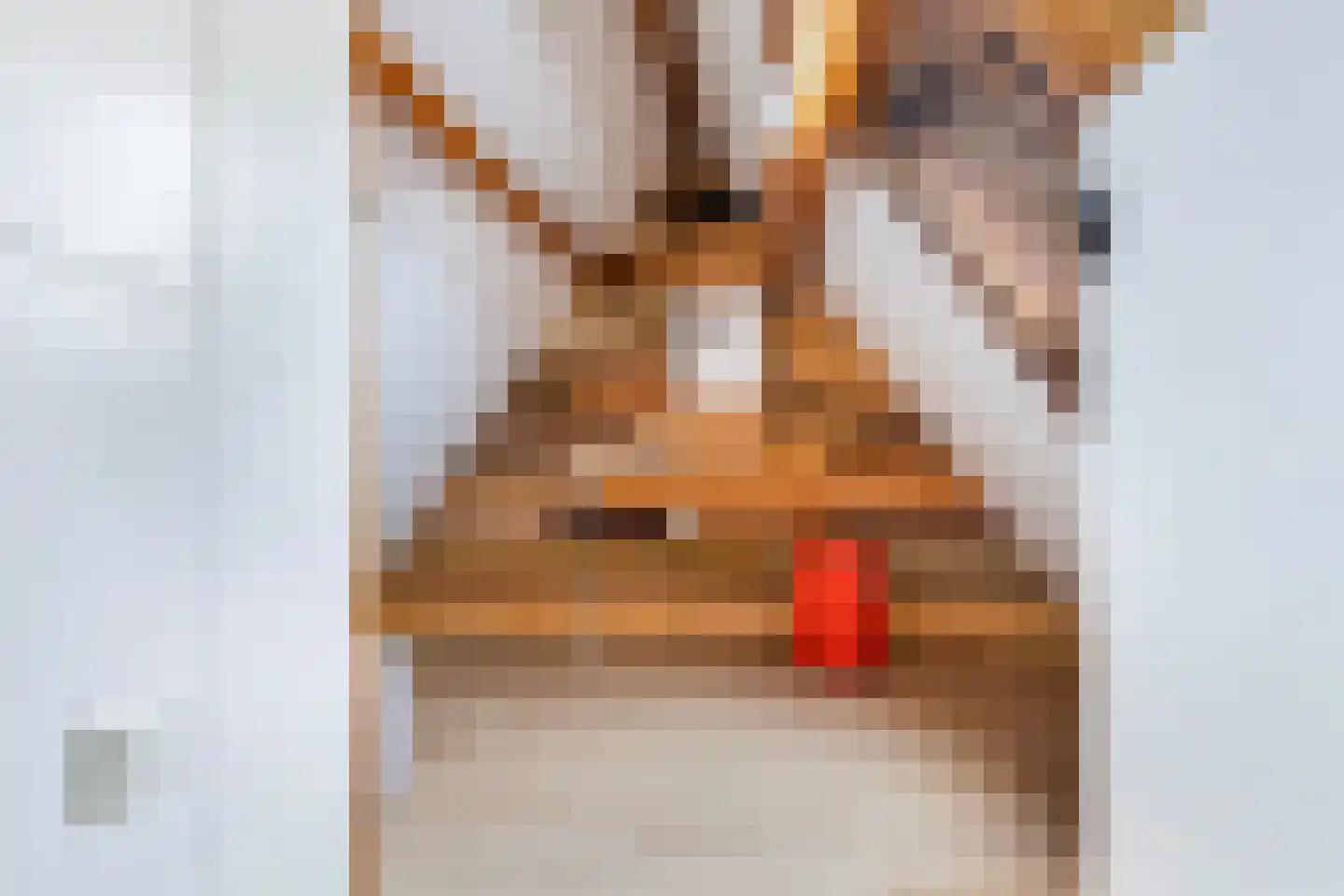 Skûlestrjitte 33 Mitselwier thumbnail 46