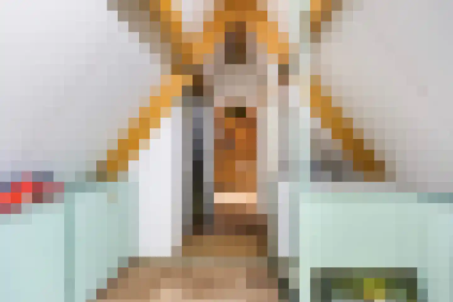 Skûlestrjitte 33 Mitselwier thumbnail 47
