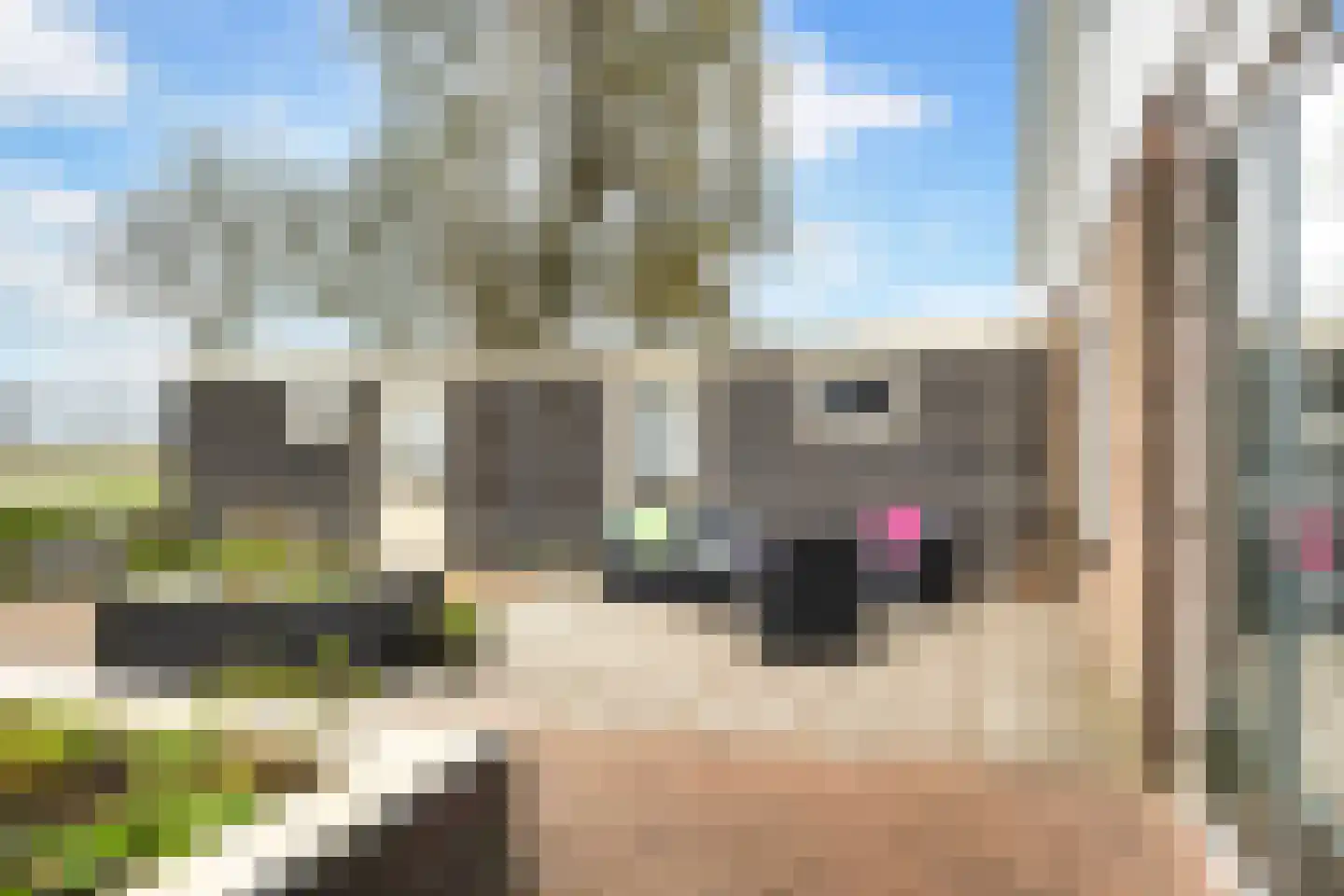 Skûlestrjitte 33 Mitselwier thumbnail 52