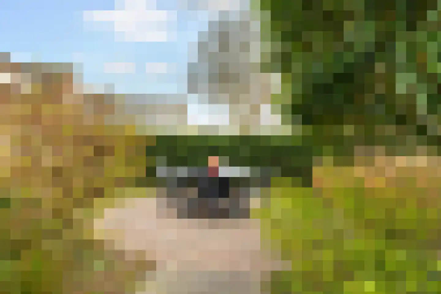 Skûlestrjitte 33 Mitselwier thumbnail 54