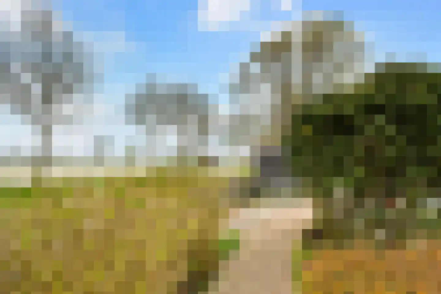 Skûlestrjitte 33 Mitselwier thumbnail 55