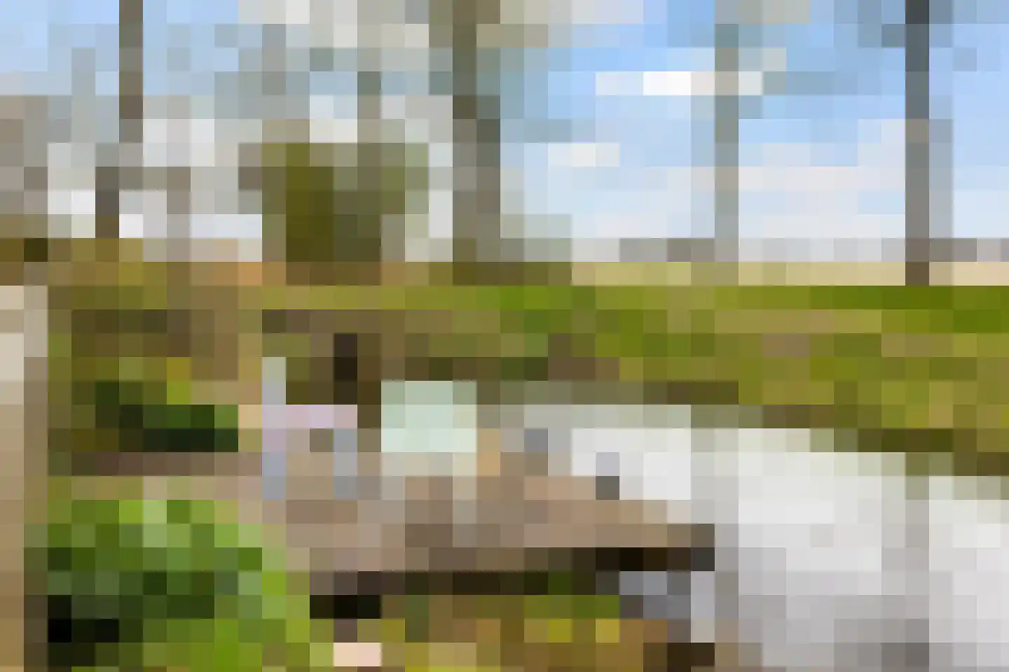 Skûlestrjitte 33 Mitselwier thumbnail 56