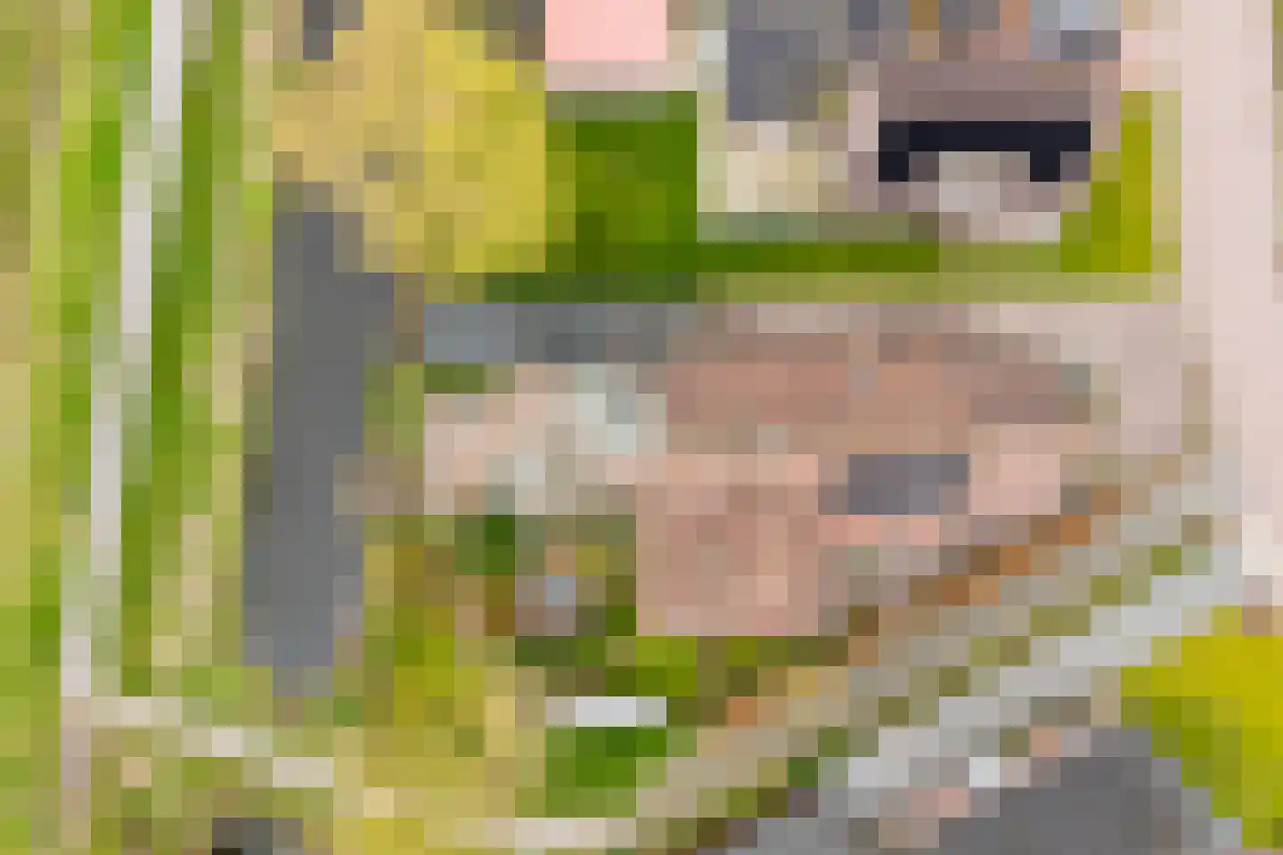 Skûlestrjitte 33 Mitselwier thumbnail 62