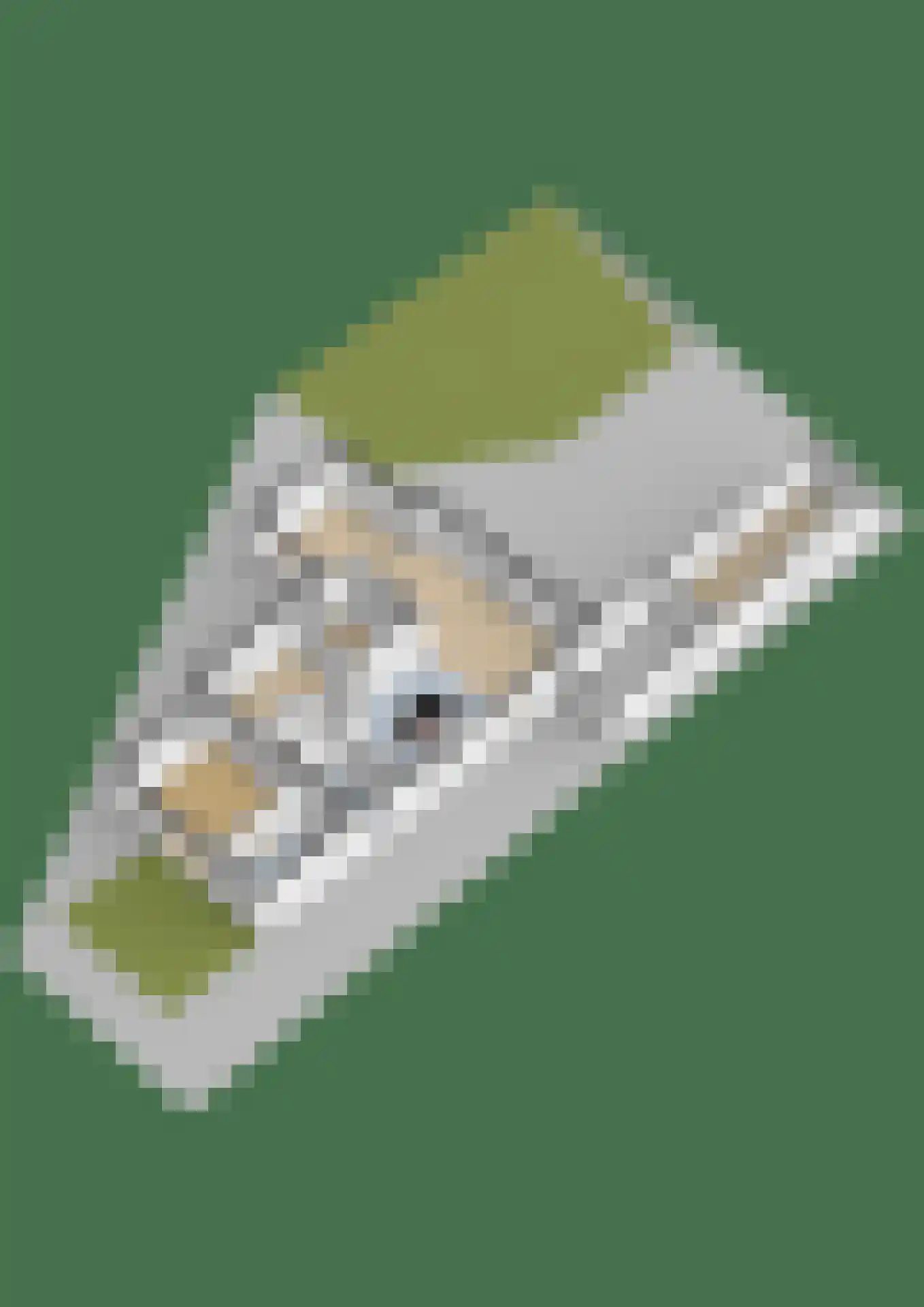 Skûlestrjitte 33 Mitselwier thumbnail 65
