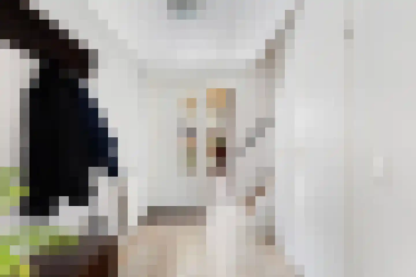 Skûlestrjitte 33 Mitselwier thumbnail 9
