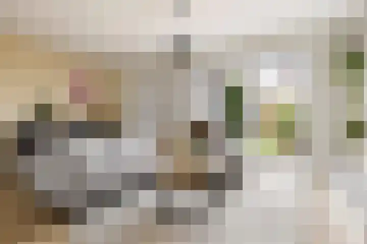 Skuorre 1 Leeuwarden thumbnail 12