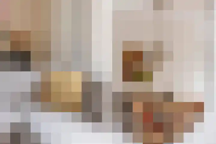 Skuorre 1 Leeuwarden thumbnail 13