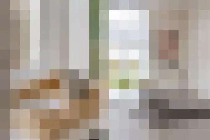 Skuorre 1 Leeuwarden thumbnail 16