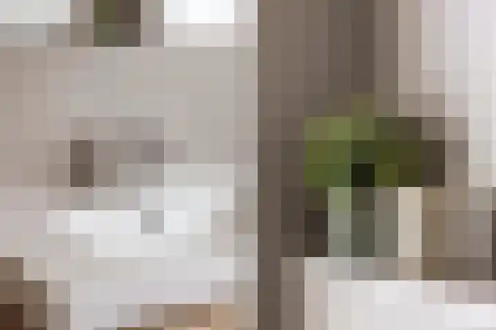 Skuorre 1 Leeuwarden thumbnail 25