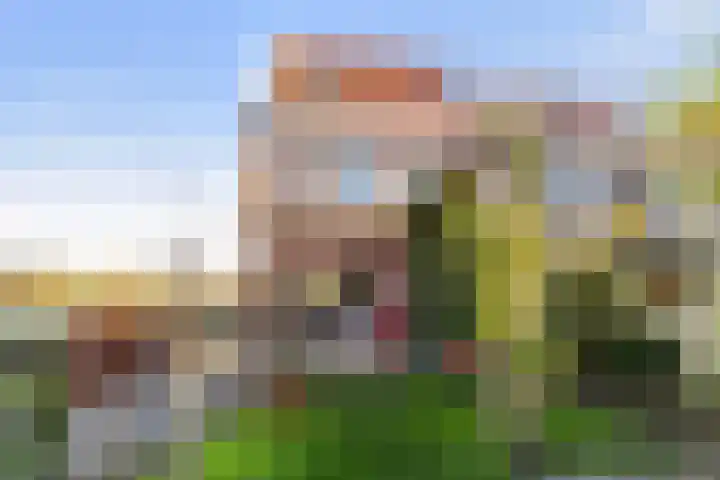 Skuorre 1 Leeuwarden thumbnail 28