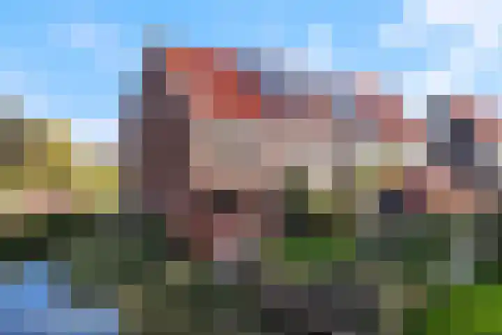 Skuorre 1 Leeuwarden thumbnail 32