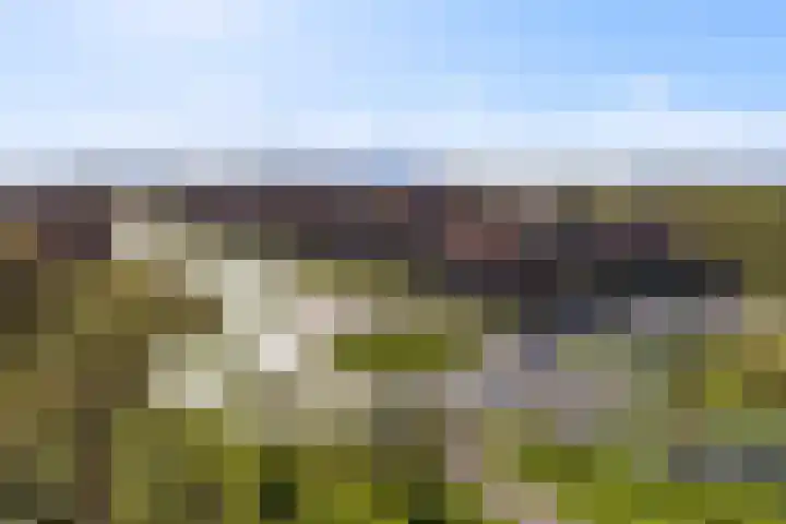 Skuorre 1 Leeuwarden thumbnail 33