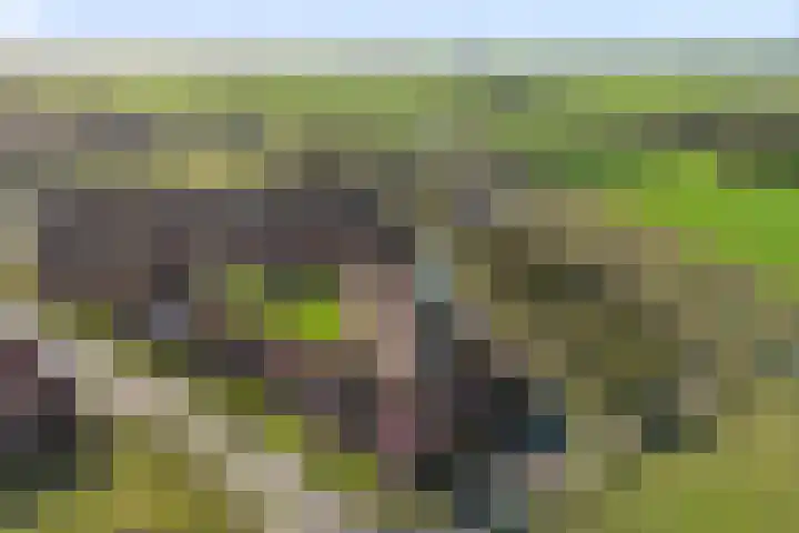 Skuorre 1 Leeuwarden thumbnail 34