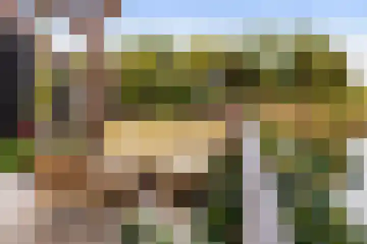Skuorre 1 Leeuwarden thumbnail 4