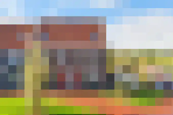Skuorre 1 Leeuwarden thumbnail 6