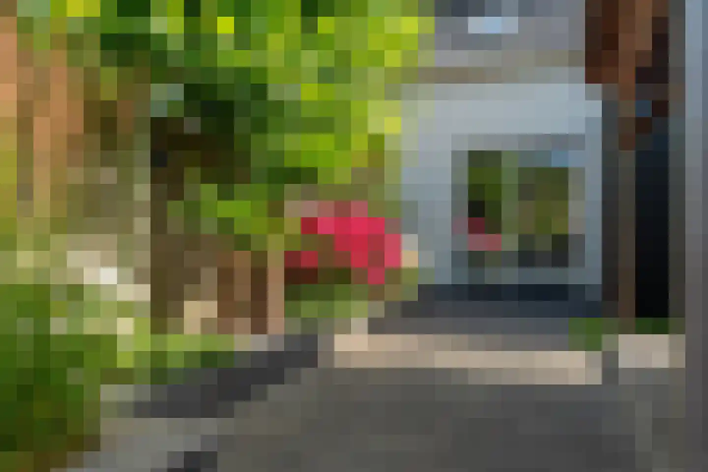 Skuorre 10 Leeuwarden thumbnail 38